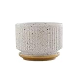 JZYANXBX Mini-Pflanztopf for drinnen und draußen, ideal for Phalaenopsis, for Zuhause, Büro,...