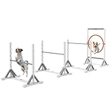 PawHut Agility Set Hunde 4-teiliges Agility-Ausrüstung für Hundetraining Steckhürdenset mit...