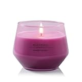 Yankee Candle Studio Duftkerze | Mittelgroße Kerze Wild Orchid | Lang brennende Kerzen: 35-50...