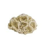 Nobby Aqua Ornaments Koralle 6,8 x 6,3 x 4 cm