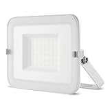 REV MIRANO S LED Strahler für außen – IP65, LED Lampe 30W, 27000lm, 6500K – ideal für...