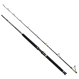 Penn Squall II Viking Edition Boat 2.13m 20-30lb - Angelrute, Meeresrute, Bootsrute