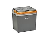 Aequator Tragbarer Kühlschrank, tragbare thermo-elektrische Kühlbox, 24 Liter, 12 V und 230 V für...