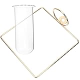 SAFIGLE Wandvase aus Glas Hydroponische Vermehrungsstation Dekorative Kleine Glasvase für...