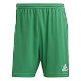 adidas Herren Entrada 22 Shorts, Team Green, XL