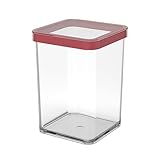 Rotho Loft quadratische Vorratsdose 1l mit Deckel und Dichtung, Kunststoff (SAN) BPA-frei,...