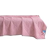 Lilinzhi Luxuriöse Seide Berührt Leichte Tröster Coole Effekte Quilt Für Die Saison Verwenden...