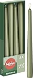 Bolsius Glatte Spitzkerzen - Grün - Set 4 Stück im Karton - Dekorative Haushaltkerzen - Brenndauer...