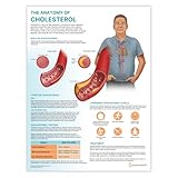 Poster 'The Anatomy of Cholesterin', 45 x 60 cm, Herzkrankheiten-Diagramm, Senkung des...