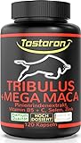 Tostoron TRIBULUS + MEGA MACA extra stark + hochdosiert + Pinienrinden Extrakt, Vitamin C + B5,...