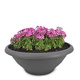 Pflanzkübel und Untersetzer als wetterfeste Pflanz-Schale mit Loch - runder 35 cm Pflanztopf in...
