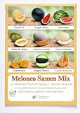 Prademir – Melonensamen Set aus 9 seltenen & leckeren Sorten – 200x frische Melonen Samen mit...