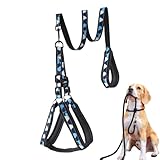 Geschirr und Leine für Hunde – reflektierendes Trainingsseil, Geschirr und Leine, atmungsaktiv,...
