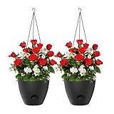 Pflanzenaufhänger, dekorativ mit Kettenkorb, Pflanzenaufhänger für den Außenbereich, für Innen-...