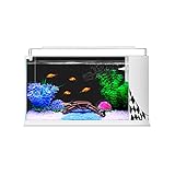 Kleines Aquarium Aquarium Starter Kits mit LED-Licht und Filterpumpe, transparentes Glas-Aquarium...