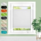 Homland Plissee ohne Bohren Klemmfix B35 x H80 cm Weiß, Plissees für Fenster und Tür, Jalousie...