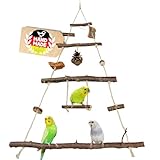 Vogelgaleria® Vogelspielplatz Vogelschaukel aus Naturholz | XXL Wellensittich Schaukel | kleines...