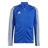 adidas Unisex Kids Tracksuit Jacket Tiro 23 League Training Track Top, Team Royal Blue, HS3526, 164