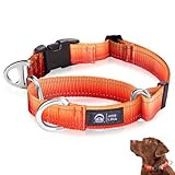 Arblina Martingale Hundehalsband, Reflektierendes Zugstopp Halsband Hunde für Große Mittlere und...