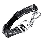 PETTOM Hundehalsband, Zugstopp Halsband Hunde mit Sicherheitsschloss, Halsband Breit Verstellbare...