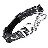 PETTOM Hundehalsband, Zugstopp Halsband Hunde mit Sicherheitsschloss, Halsband Breit Verstellbar und...