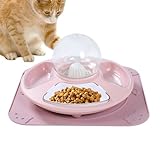 Tanakeji Indoor Katzenfutternapf | Multifunktions Schale Für Katzengras - Katzenschüssel Für...