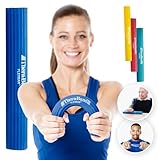 TheraBand Flexbar FlexBar - Flexibler Übungsstab - Effektives Rehabilitations- und...