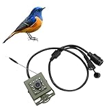 Ejoyous Indoor-Überwachungskamera, 10 LEDs, Weitwinkel-Infrarot-WLAN, kabellose Überwachungskamera...