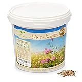 Magic of Nature Blumensamen Mischung - Bienen Paradies - 1kg - Kinderleichte Anwendung -...