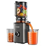 Entsafter Gemüse und Obst Testsieger, Slow Juicer mit 120 MM XL-Einfüllschacht, 600 mL...