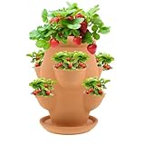 Erdbeerturm Pflanzgefäß Terrakotta-Turm Blumentopf mit Tablett Terracotta Porös...