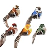 ChAusa 5 Pcs Vogel Deko mit Clip, Künstliche Federfiguren, Bunt Dekofigur mit Halterungsklammer...