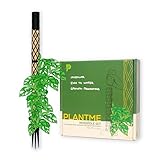 PlantMe Moosstab Midi Set - Rankhilfe Zimmerpflanze Rankhilfen für Kletterpflanzen, Efeutute,...