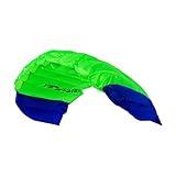 Wolkenstürmer® Paraflex Basic 2-Leiner Lenkmatte 1.7 (grün) - Kite Drachen mit Polyesterleinen &...