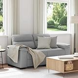 Massbinet 2-Sitzer-Sofa Wolkengrau 120 cm Stoff Sofas mit abnehmbaren Kissen und Rückenlehnen