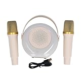 Mini Karaoke Machine Wireless Bluetooth Tragbarer Lautsprecher Mikrofon -Set mit vielseitigen...
