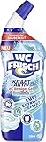 WC Frisch WC-Reiniger Gel Ozeanfrische (750 ml), WC-Reiniger mit Lufterfrischer-Effekt,...