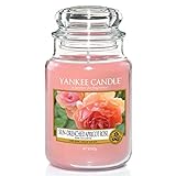 Yankee Candle Duftkerze im Glas (groß) | Sun-Drenched Apricot Rose | Brenndauer bis zu 150 Stunden