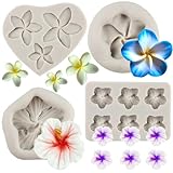 MYPRACS Plumeria Blume Silikonformen Hibiskus Blume Fondant Formen für Blume Kuchen Dekoration...