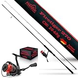 Paradox Fishing Firetiger Spinnrute mit Rolle I 2,7m 20-60g mit 4000 Rolle I Spinnruten perfekt für...