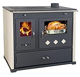 Kaminofen mit Backfach und Herdplatte Practik Lux Holzofen 9,5 kW Kamin Ofen Dauerbrandofen...