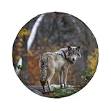 Universal Ersatz Ersatzrad Abdeckung Lonely Wild Grey Wolf Wasserdicht Reserveradabdeckung...