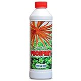 Aqua Rebell ® Makro Basic Phosphat Dünger - 0,5 Literflasche - optimale Versorgung für Ihre...