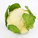 artplants.de Kunstgemüse Blumenkohl, weiß - grün, 10,5cm, Ø 18cm - Künstliches Obst - Deko...