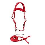 Einstellbare Red Horse Zaumzeug Zügel Harness Trense Weiche Kissen für Reitsport