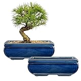 Oairse 2er-Set Bonsai Keramiktopf Bonsaischale mit Entwässerungslöchern für Japanische Bonsai...