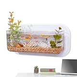 Poupangke Wand-Aquarium, kleine Pflanzenvase für Wand, transparente Fischschalen für Wohnzimmer,...