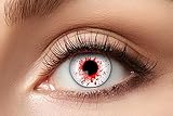Zoelibat Eyecatcher – Bloodshot3 – Farbige Wochen-Kontaktlinsen in Weiß-Rot – Kontaktlinsen...