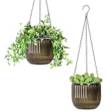 Calvalor 16.5cm 2er Set hängepflanzen Topf Hängeblumentöpfe aussen Hängeampel außen blumenampel...