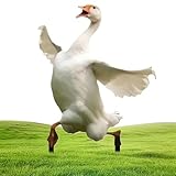 Rasenente – lustige Ente Gartendekoration, 30 cm, niedliche Acryl-Ente, dekorative Gartenpfähle,...